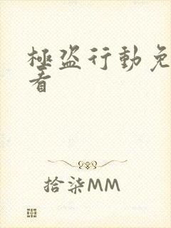 极盗行动免费观看