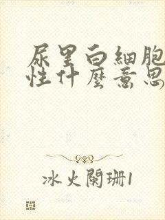 尿里白细胞弱阳性什么意思