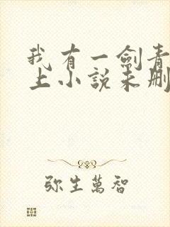 我有一剑青鸾峰上小说未删版txt