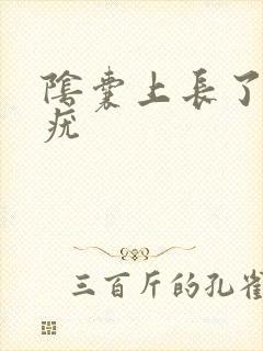 阴囊上长了很多疣