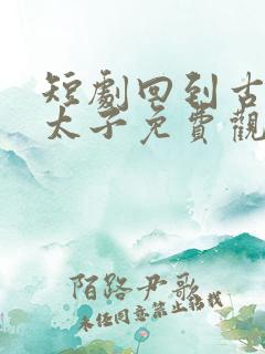 短剧回到古代当太子免费观看