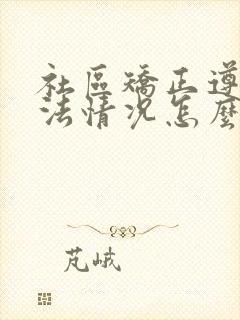 社区矫正遵纪守法情况怎么填简短