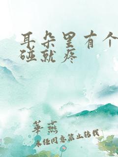 耳朵里有个包一碰就疼