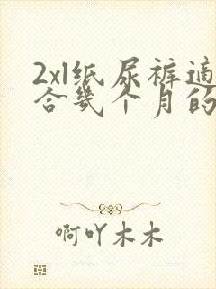 2xl纸尿裤适合几个月的宝宝