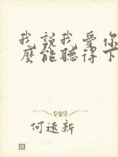 我说我爱你你怎么能听得下去歌词