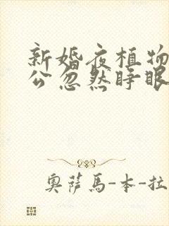 新婚夜植物人老公忽然睁眼