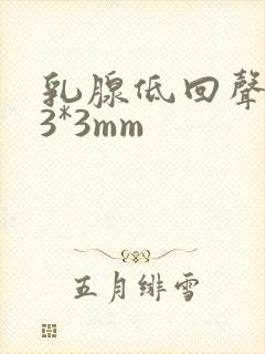 乳腺低回声结节3*3mm