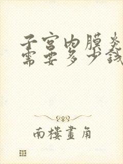 子宫内膜炎治疗需要多少钱