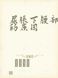 尿胀下腹部隐痛的原因