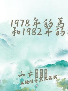 1978年的马和1982年的狗相配吗