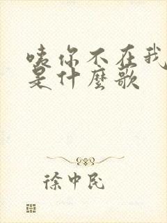 咦你不在我不在是什么歌