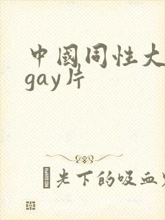中国同性大尺度gay片