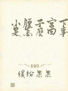 小腹子宫下坠疼是怎么回事