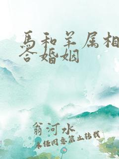 马和羊属相合不合婚姻