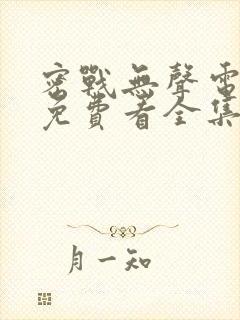 密战无声电视剧免费看全集