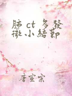 肺 ct 多发微小结节