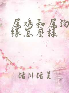 属鸡和属狗的姻缘怎么样