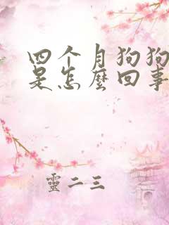 四个月狗狗尿血是怎么回事