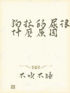 狗拉的尿很黄是什么原因