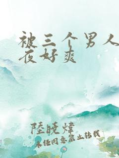 被三个男人躁一夜好爽