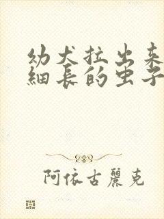 幼犬拉出来白色细长的虫子会死吗