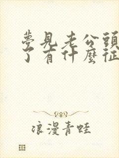 梦见老公头流血了有什么征兆