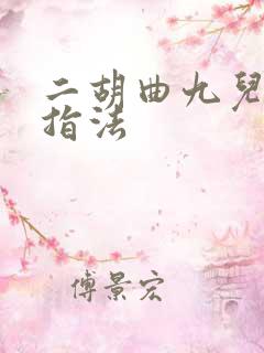 二胡曲九儿曲谱指法