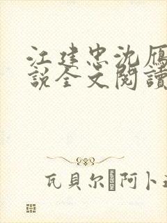 江建忠沈雁冰小说全文阅读