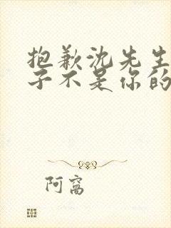 抱歉沈先生这孩子不是你的短剧免费观看