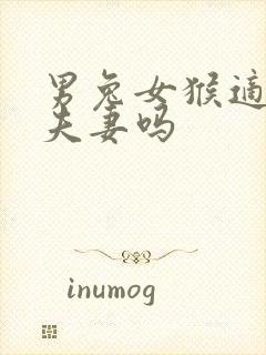 男兔女猴适合做夫妻吗