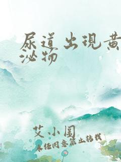 尿道出现黄色分泌物