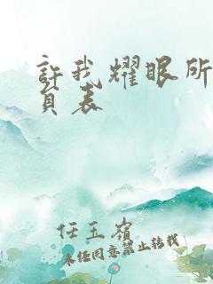 许我耀眼所有演员表