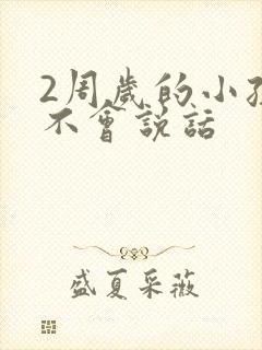 2周岁的小孩还不会说话