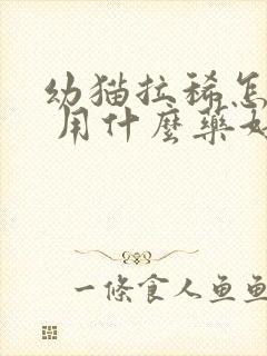 幼猫拉稀怎么办 用什么药好