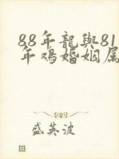 88年龙与81年鸡婚姻属相相配