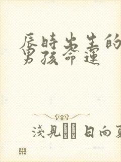 辰时出生的属蛇男孩命运