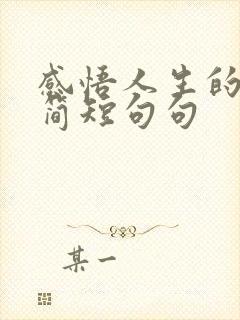 感悟人生的句子简短句句