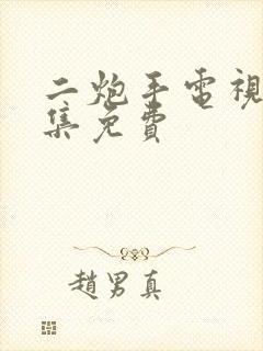 二炮手电视剧全集免费