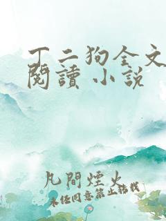 丁二狗全文免费阅读 小说