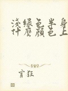 浅绿色半身裙配什么颜色上衣好看