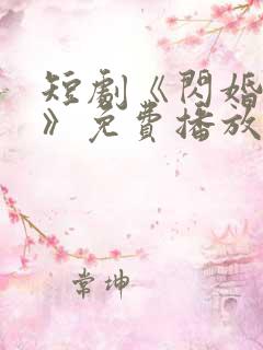 短剧《闪婚秘事》免费播放