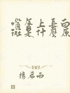 嘴唇上长白色的斑是什么原因