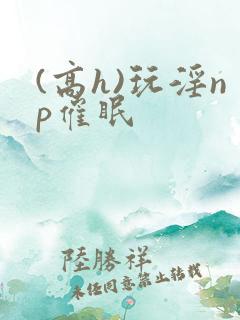 (高h)玩淫np催眠