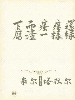 下面瘙痒还有豆腐渣一样绿色的分泌物