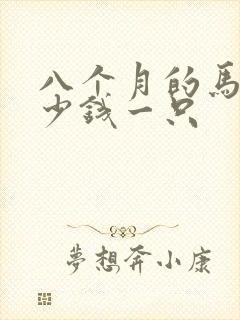 八个月的马犬多少钱一只