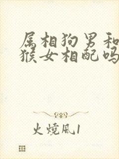 属相狗男和属相猴女相配吗