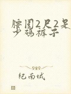 腰围2尺2是多少码裤子