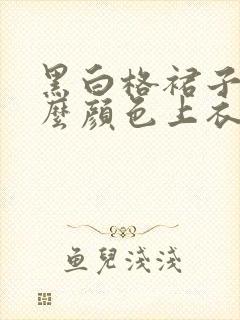 黑白格裙子配什么颜色上衣好看