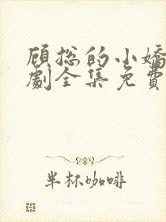 顾总的小娇妻短剧全集免费