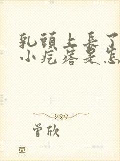 乳头上长了很多小疙瘩是怎么回事